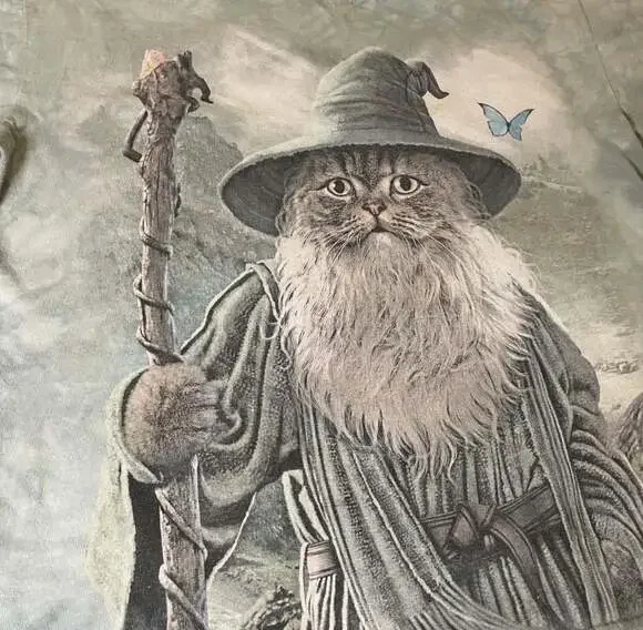 The Mountain Catdalf Gandalf Wizard Cat Tie Dye Graphic T-Shirt - Picture 2 of 4
